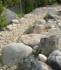 rock garden