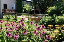 Flower Beds