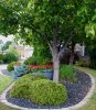 Winnipeg and Calgary landscaping