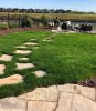 landscaping stepping stones