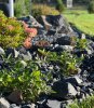 landscaping garden