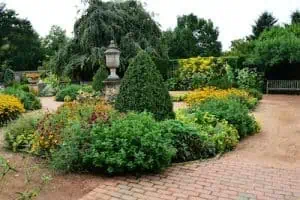 Landscaper tee and shrub design in Calgary