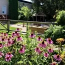 Flower Beds