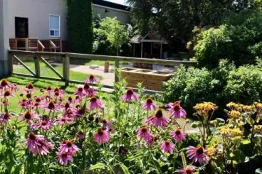 Flower Beds