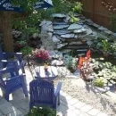 Ponds, Waterfalls, Rock Gardens
