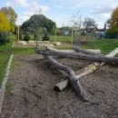 School Grounds