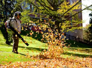 Winnipeg Fall Cleanup