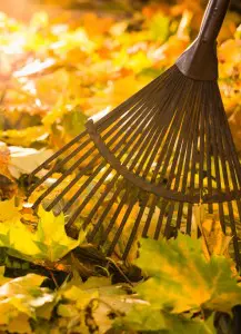 Fall Cleanup Calgary